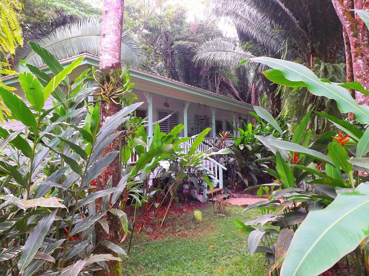 Hickatee Cottages, Belize, Central America Пунта-Горда Экстерьер фото